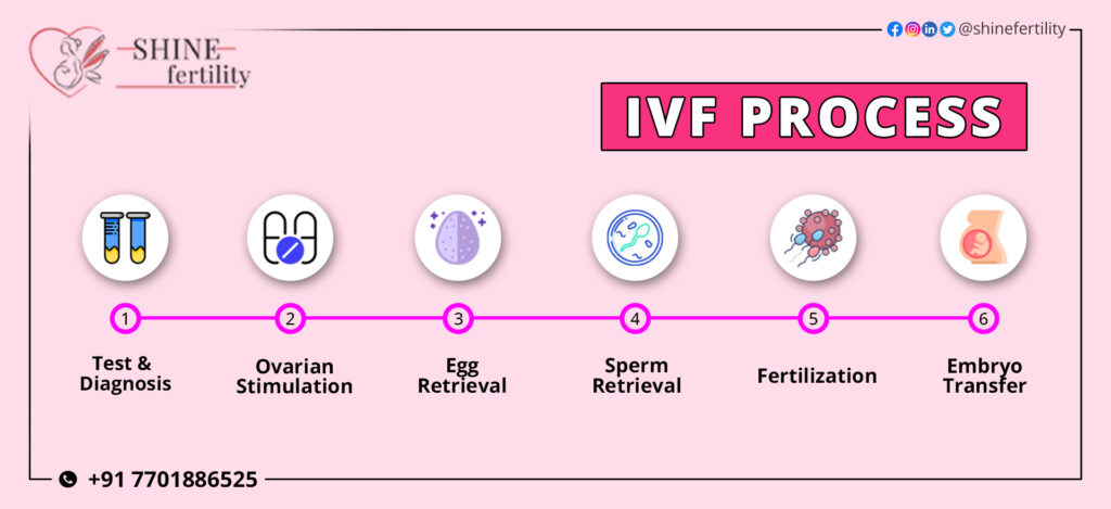 IVF-Process