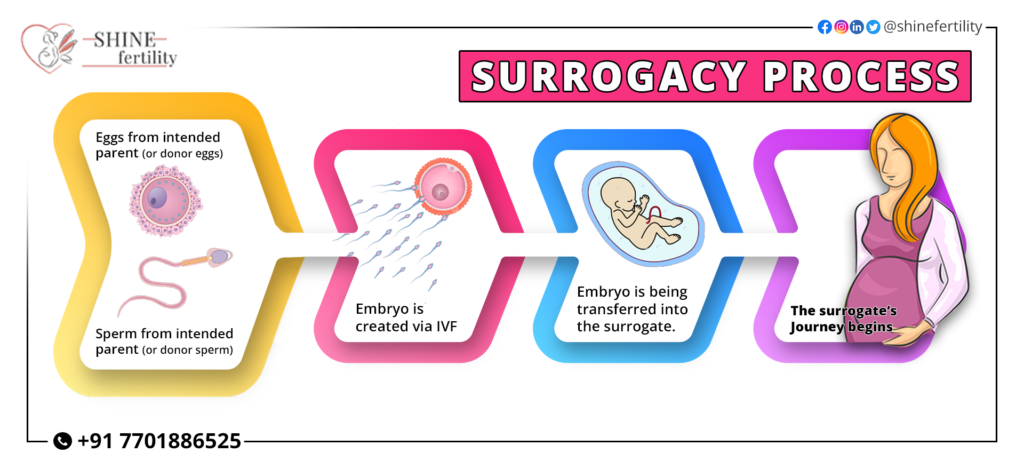 Surrogacy-Process