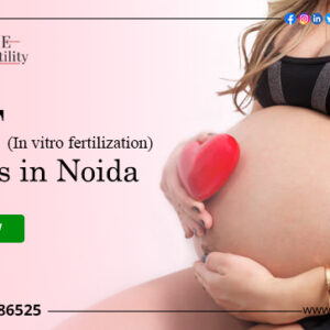 Top 10 Best IVF Centres in Noida With High Success Rates 2022