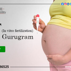 IVF Cost in Gurgaon: Low-Cost IVF Centres in Gurgaon 2022