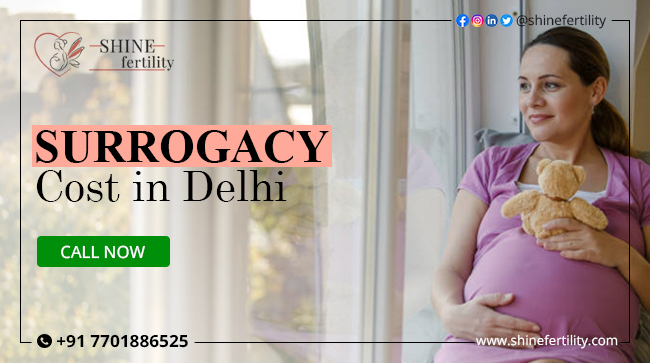 Surrogacy Cost in Delhi with High Success Rate 2024 – Shinefertility