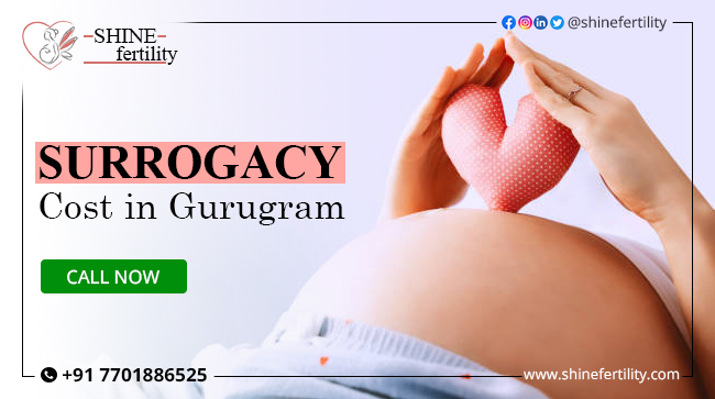 Surrogacy Cost in Gurgaon: Surrogate Mother Cost in Gurgaon, Low-cost Surrogacy Centres in Gurgaon