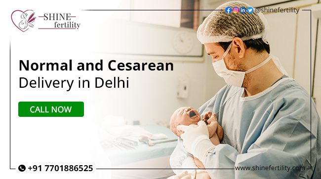 Normal and Cesarean Delivery: Procedures, Costs and Risks