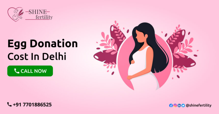Egg Donation Procedure and Cost In Delhi – Shinefertility.com