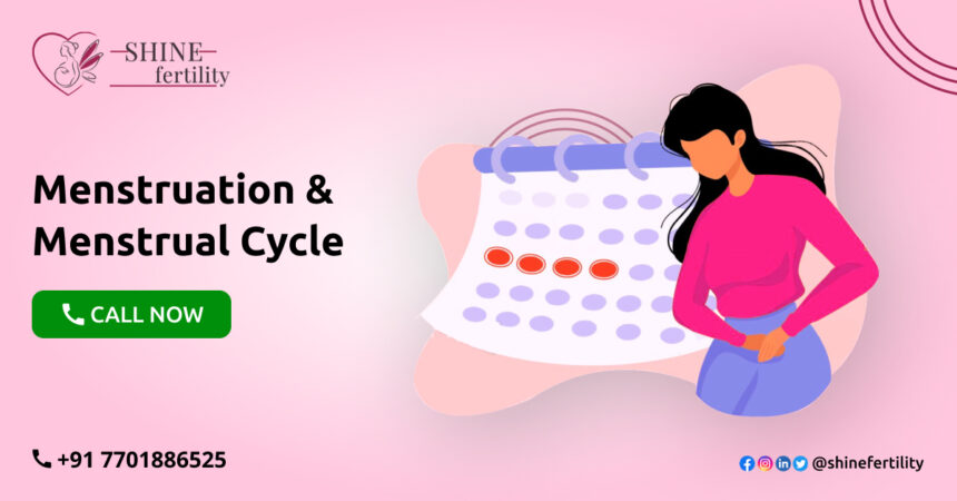 Menstruation and Menstrual Cycle – All You Want to Know