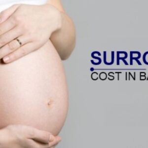 Surrogacy Cost in Bangalore with High Success Rate 2023 – Shinefertility