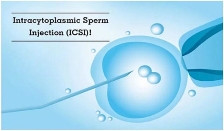 ICSI Treatment in Hyderabad: A Step-by-Step Guide from Initial Consultation to Embryo Transfer