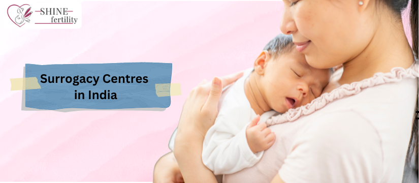 Best 10 Surrogacy Centers in India 2024: Your Guide to Choosing the Top Surrogacy Treatment