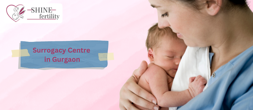 Best 10 Surrogacy Centers in Gurgaon 2024: Your Guide to Choosing the Top Surrogacy Treatment