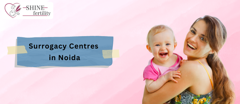 Title- Best 10 Surrogacy Centers in Noida 2024: Your Guide to Choosing the Top Surrogacy Treatment