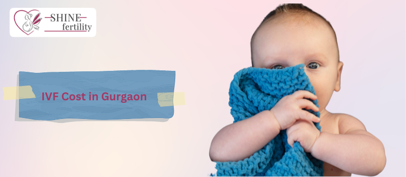 Affordable IVF Treatment Cost in Gurgaon with High Success Rate 2024