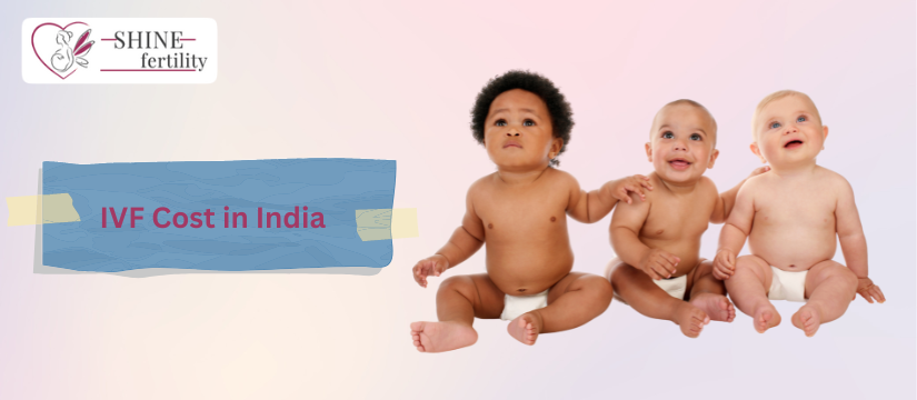 Affordable IVF Treatment Cost in India with High Success Rate 2024