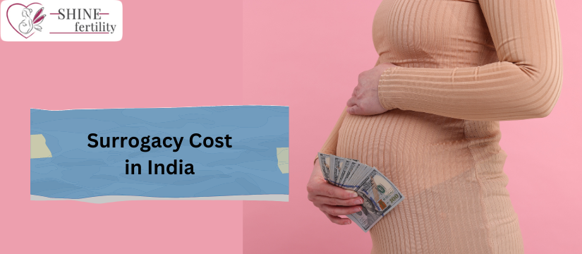 Affordable Surrogacy Treatment Cost in India with High Success Rate 2024