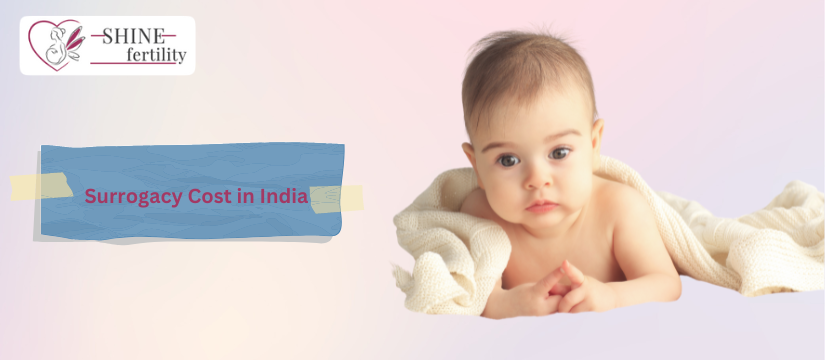 Affordable Surrogacy Treatment Cost in India with High Success Rate 2024