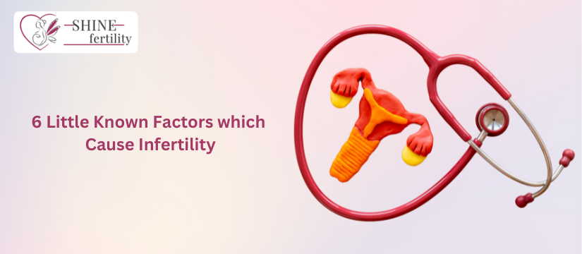 6 Little Known Factors Which Cause Infertility