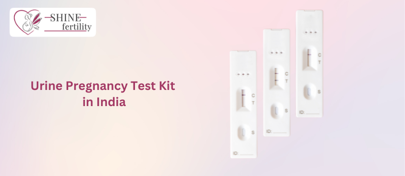 7 Best Urine Pregnancy Test Kit in India – Types, Early Pregnancy Test Kit, FAQ’s