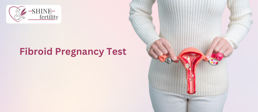 Fibroid Pregnancy Test