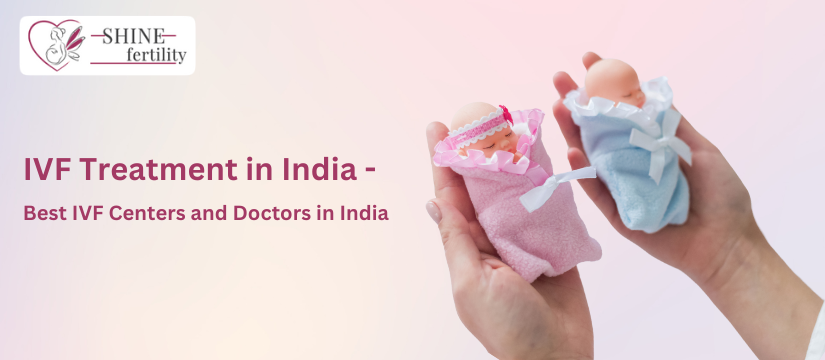 IVF Treatment in India – IVF Centers and Best IVF Doctors in India