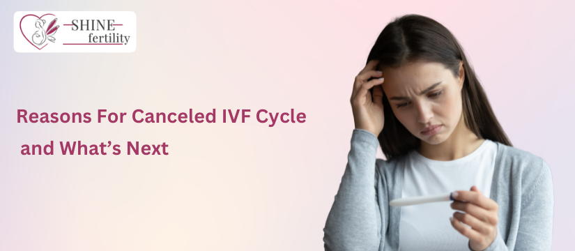 In Vitro Fertilization – Reasons For Canceled IVF Cycle and What’s Next