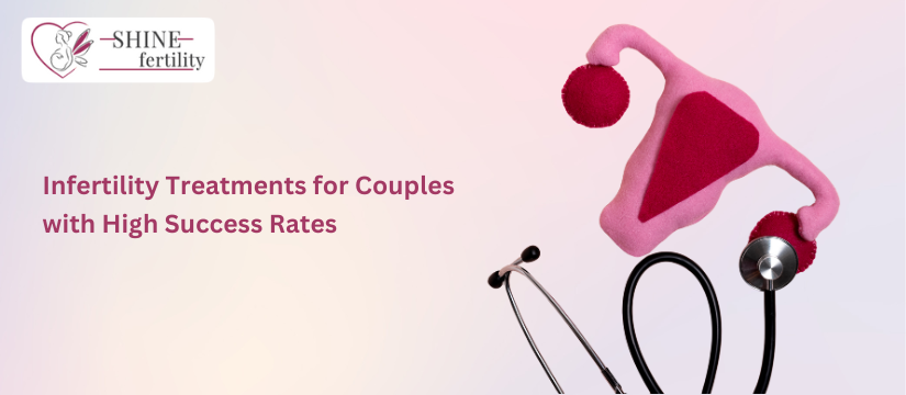 Most in Demand Infertility Treatments for Couples with High Success Rates