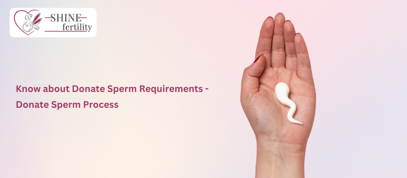 Know about Donate Sperm Requirements – Donate Sperm Process