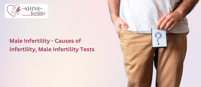 Male Infertility – Causes of Infertility, Male Infertility Tests