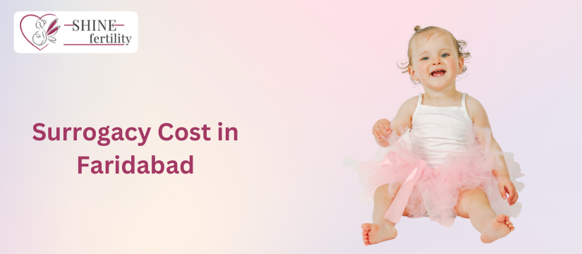 Affordable Surrogacy Treatment Cost in Faridabad with High Success Rate 2024