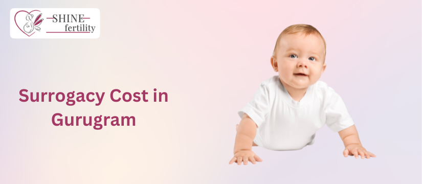 Affordable Surrogacy Treatment Cost in Gurugram with High Success Rate 2024