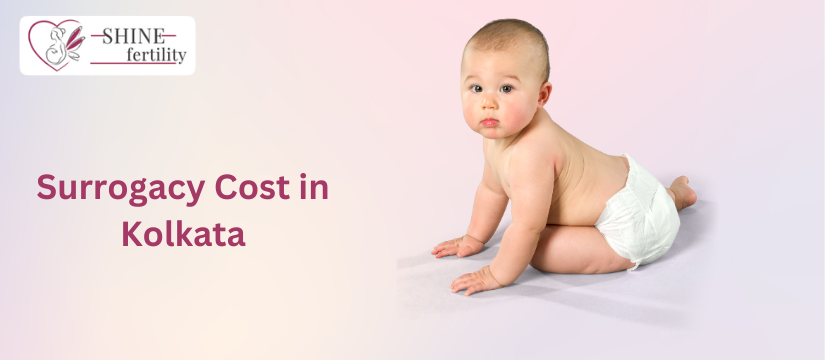 Surrogacy Cost in Kolkata with High Success Rate 2024 – Low Cost Surrogacy Centre in Kolkata