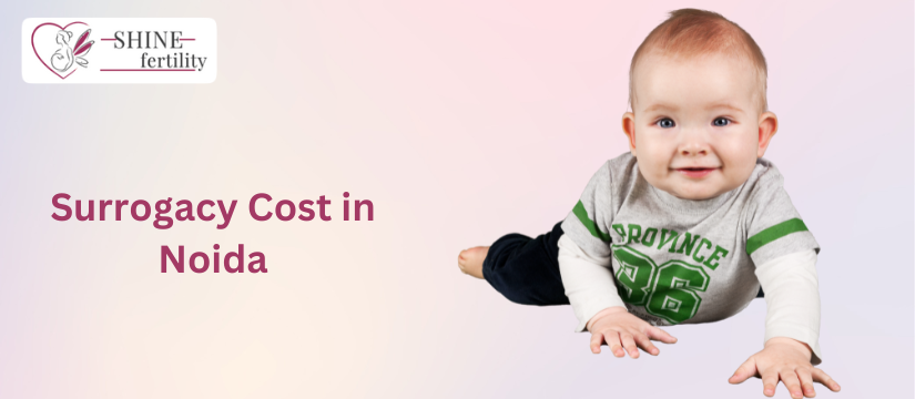 Affordable Surrogacy Treatment Cost in Noida with High Success Rate 2024