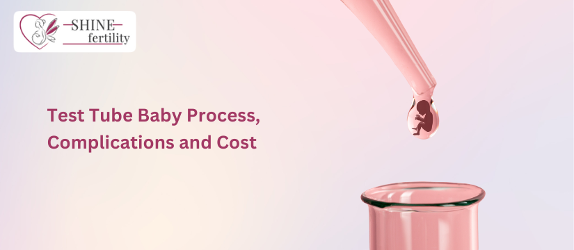 Test Tube Baby Process, Complications and Cost