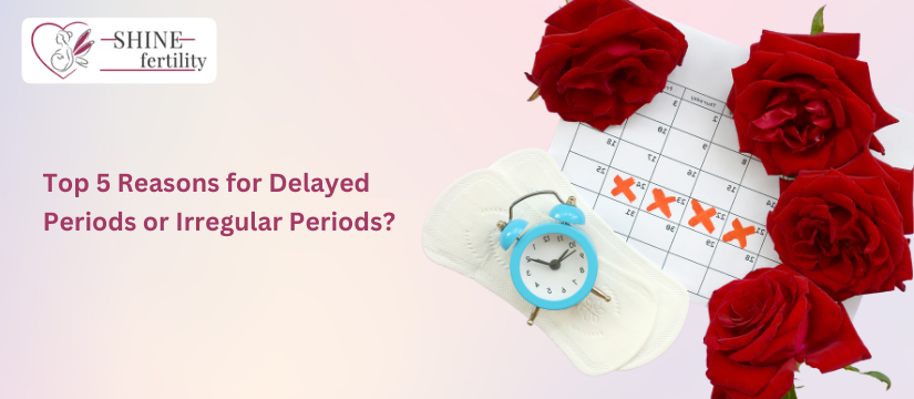 What are the Top 5 Reasons for Delayed Periods or Irregular Periods?