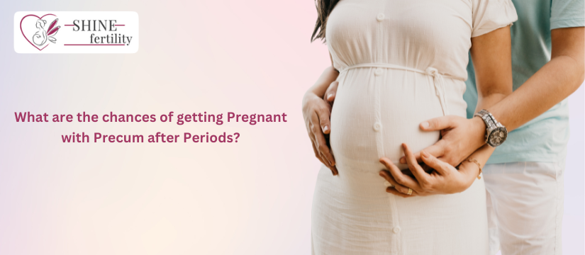 What are the chances of getting Pregnant with Precum after Periods?