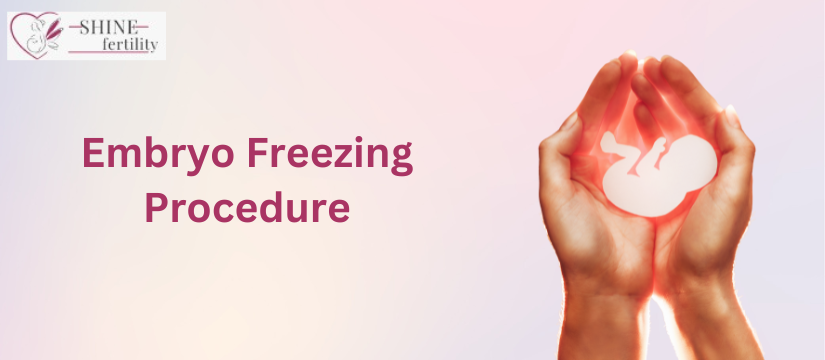 Embryo Freezing Procedure