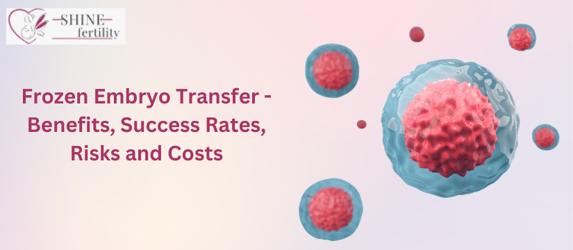 Frozen Embryo Transfer – Benefits, Success Rates, Risks and Costs