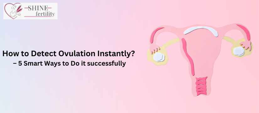 How to Detect Ovulation Instantly? – 5 Smart Ways to Do it successfully