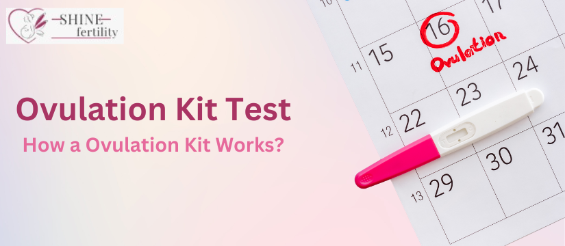 Ovulation Kit Test – As a Birth Control, How a Ovulation Kit Works?