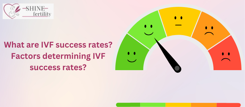 What are IVF success rates? What are the factors determining IVF success rates?